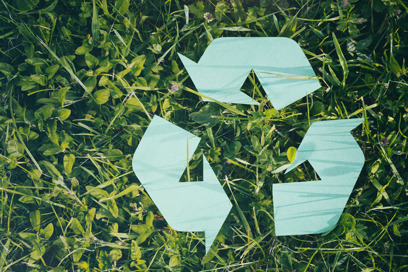 Go Green in the Office with These Tips to Help Minimize Waste