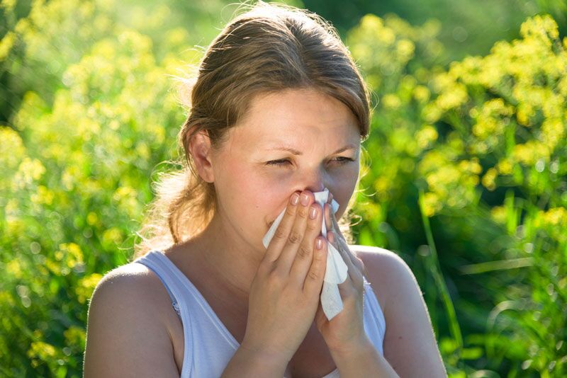 How You Can Survive Allergy Season